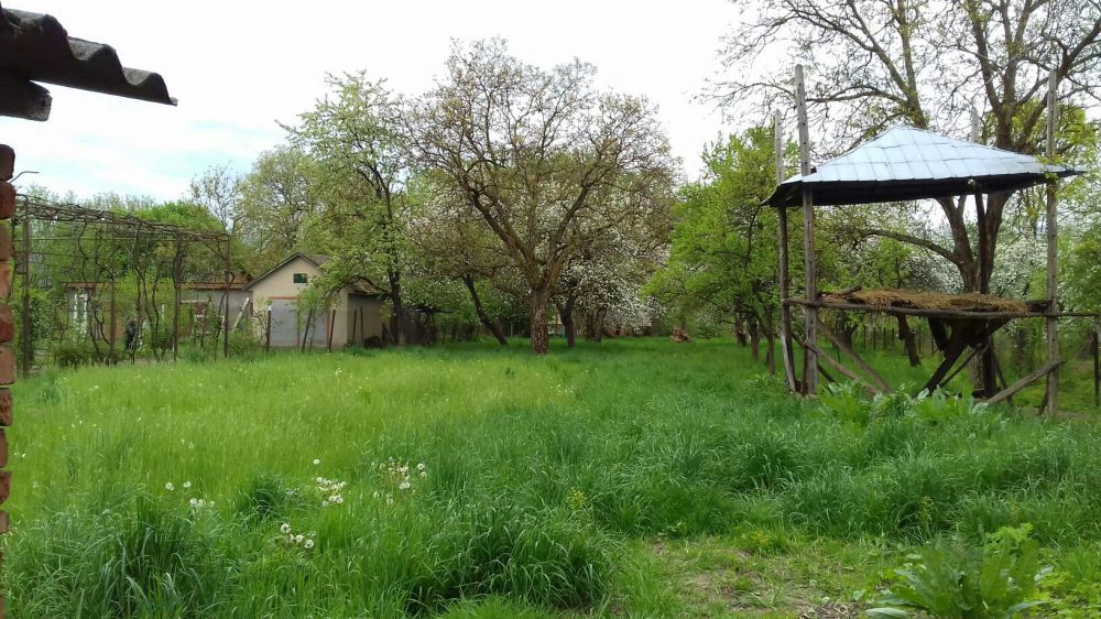 Будинок на Закарпатська область, Буштино, ID 423649, фото №2