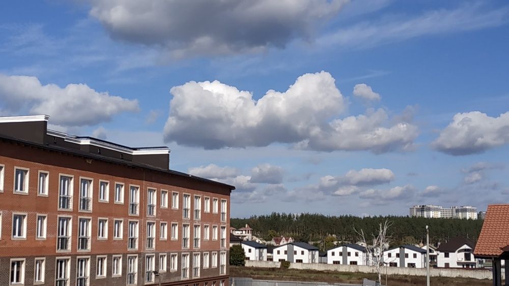 Квартира на мікрорайон Ірпінь в Києві, ID 238166, фото №9