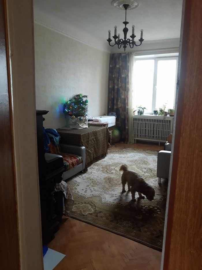 Квартира на вул. Бойчука, 2/34 в Київ, ID 253756, фото №5