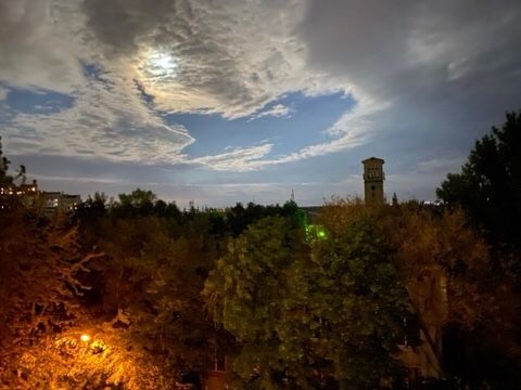 Квартира на Дніпровський в Запоріжжі, ID 297911, фото №18