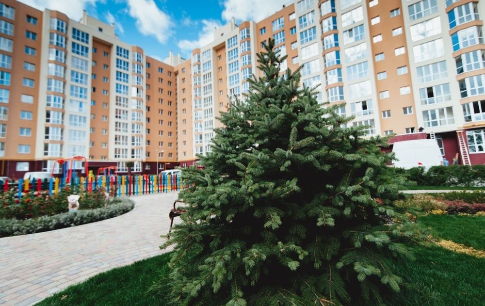 Квартира на Соборна 126/2 в Києві, ID 259785, фото №17