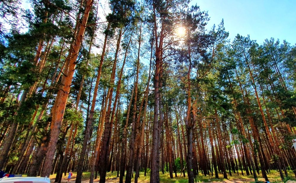 Квартира на біля метро Академмістечко в Києві, ID 227505, фото №3
