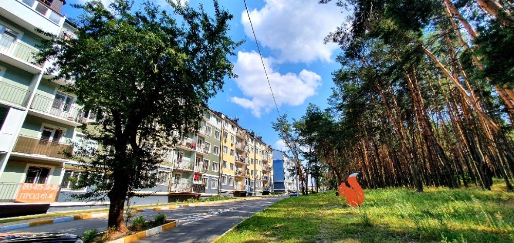 Квартира на біля метро Академмістечко в Києві, ID 227505, фото №4