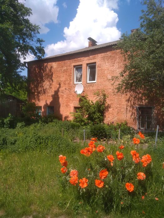 Квартира на вул. Ремеснича, 8 в Чернігів, ID 236217, фото №1