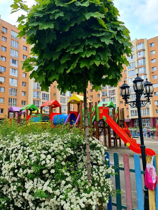 Квартира на біля м.Академміст в Києві, ID 259379, фото №15