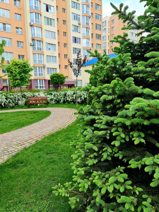 Квартира на біля м.Академміст в Києві, ID 259379, фото №16