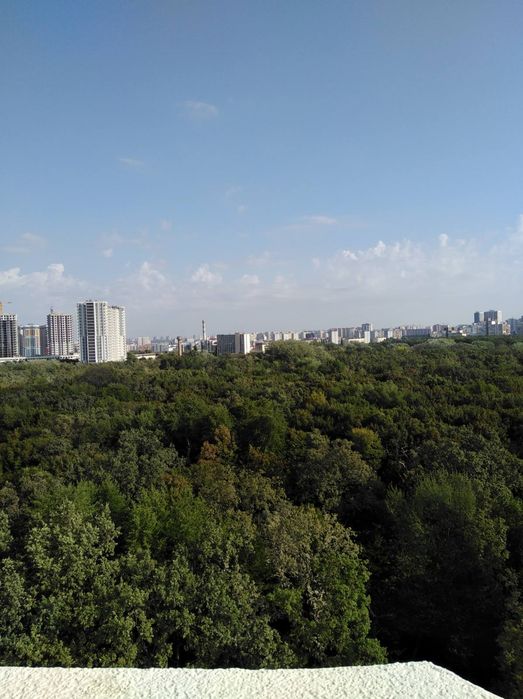Квартира на бульв. Одеський в Києві, ID 481359, фото №9