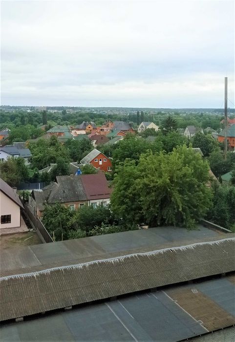 Квартира на бул. Олександрійський, 101 в Києві, ID 311903, фото №11