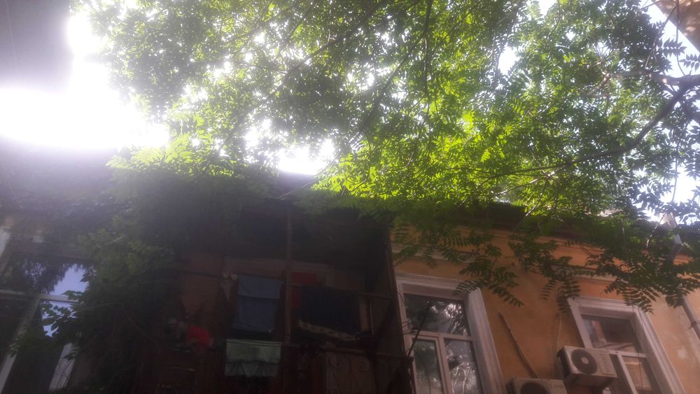 Квартира на вул. Базарна в Одесі, ID 256362, фото №11