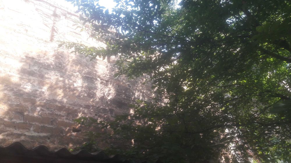 Квартира на вул. Базарна в Одесі, ID 256362, фото №8