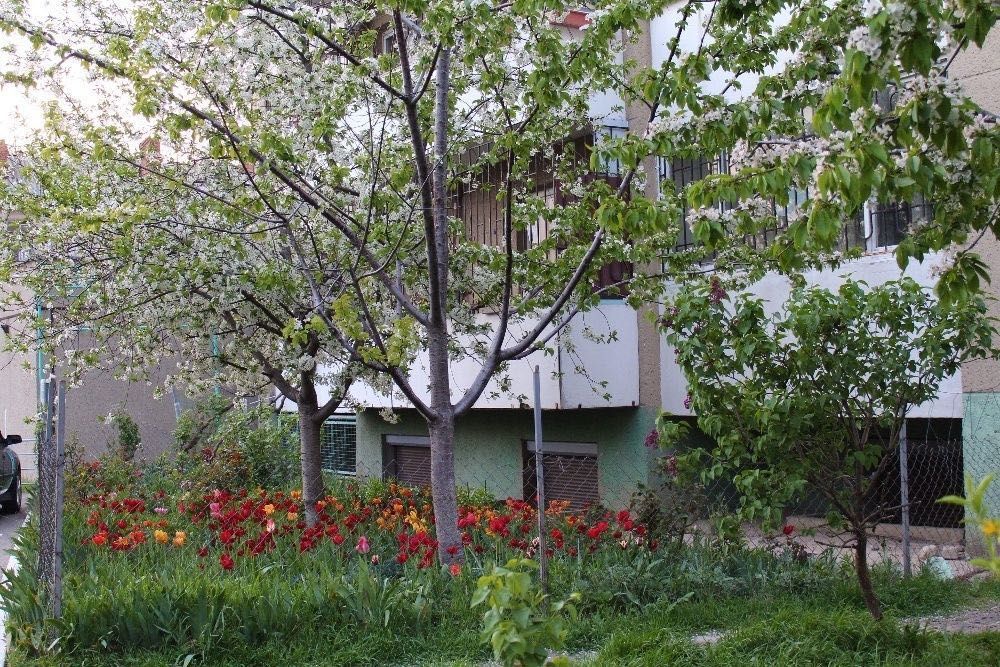 Квартира на Приморський в Одесі, ID 327290, фото №6