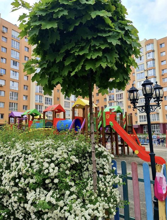 Квартира на 15 минут езды до метро Академгородок в Києві, ID 260323, фото №18