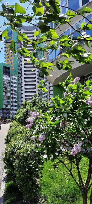 Квартира на вул. Володимирська, 42 в Києві, ID 172630, фото №3