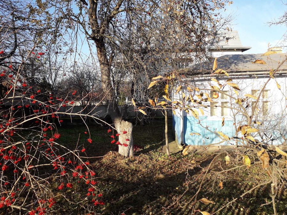 Будинок, Фитьків в Івано-Франківській області, ID 421508, фото №8
