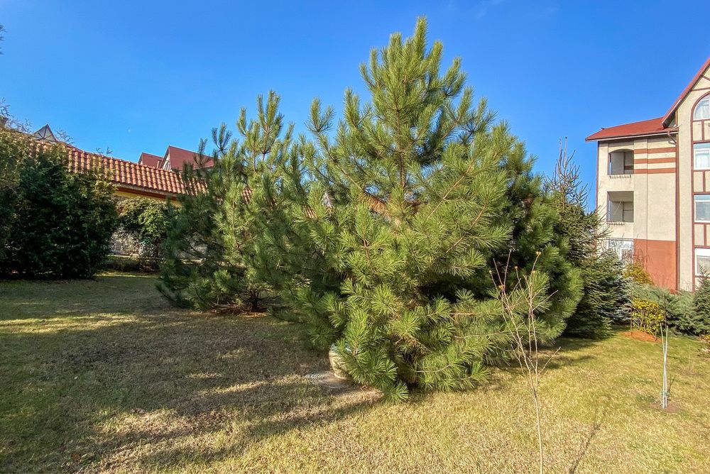 Квартира на ЖК Реннесанс в Запоріжжі, ID 173085, фото №3