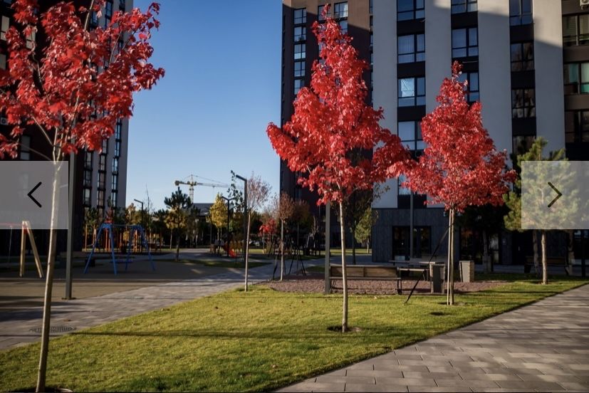 Квартира на вул. Paradise Avenue, 7 в Києві, ID 309236, фото №2