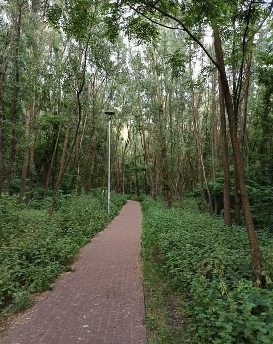 Квартира на вул. Воскресенська в Києві, ID 386540, фото №21