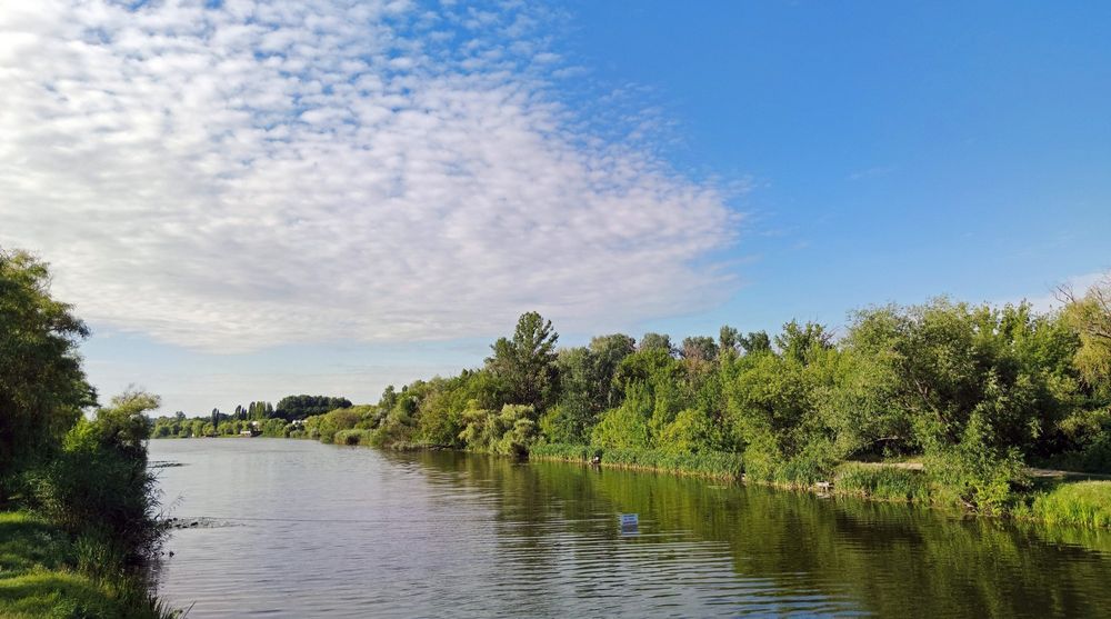 Квартира на вул. Велика Панасівська, 224 в Харкові, ID 255039, фото №17