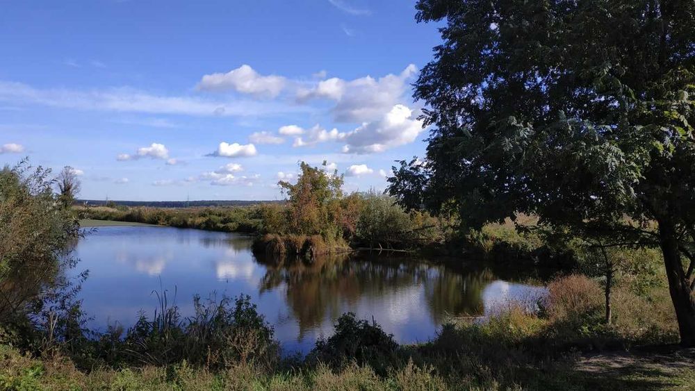 Квартира на Ірпінь в Києві, ID 235351, фото №4