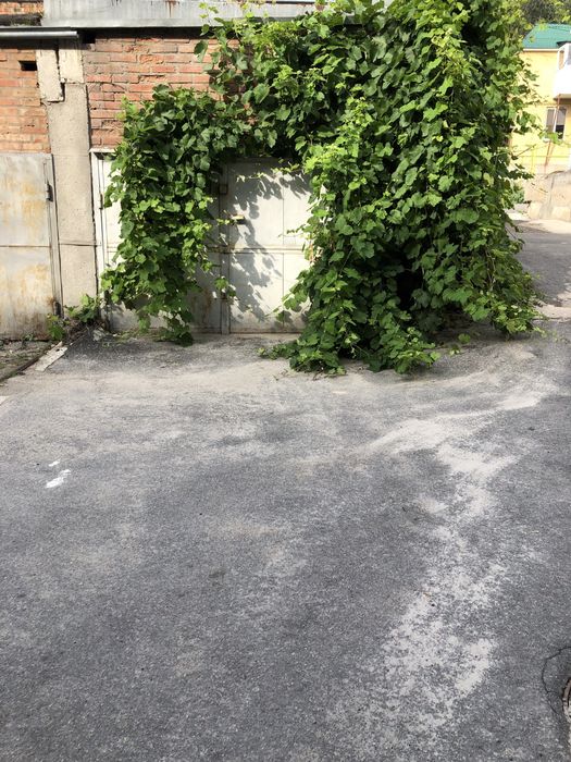 Квартира на Подільський в Кропивницькому, ID 292782, фото №18