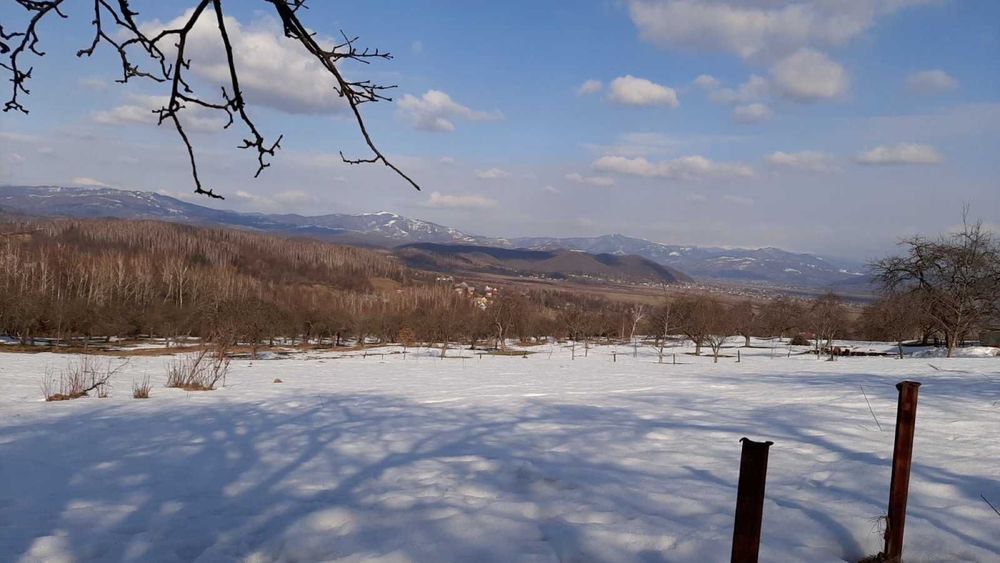 Будинок на Закарпатська область, Кошилево, ID 422889, фото №1