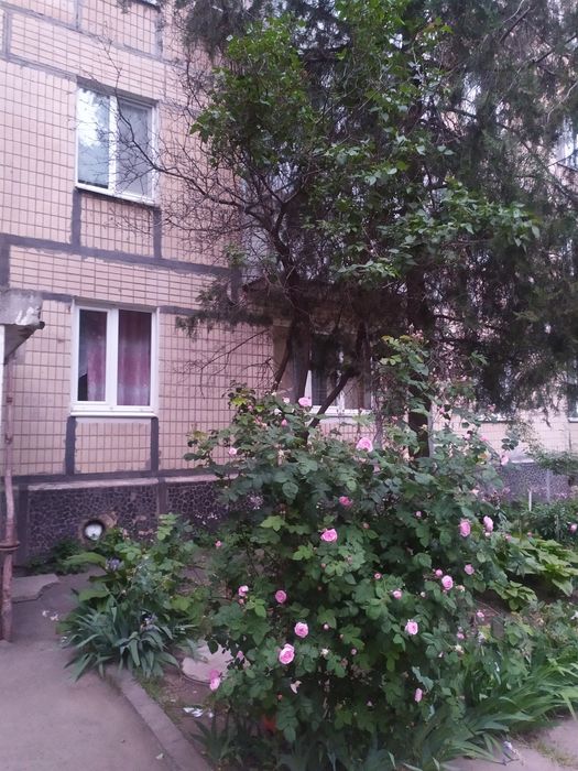 Квартира на бул. Вечірній в Кривому Розі, ID 176155, фото №1