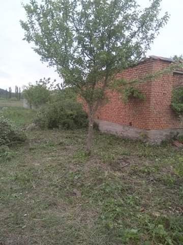 Будинок на Закарпатська область, Берегове, ID 423200, фото №4