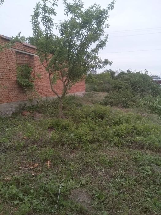 Будинок на Закарпатська область, Берегове, ID 423200, фото №5
