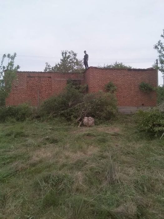 Будинок, Берегове у Закарпатській області, ID 423200, фото №7
