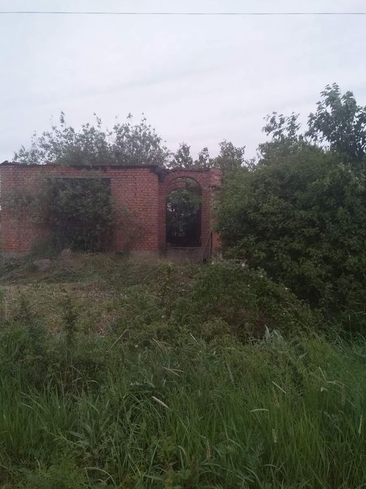 Будинок, Берегове у Закарпатській області, ID 423200, фото №8