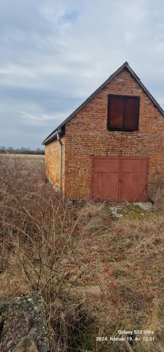 Будинок, Берегове у Закарпатській області, ID 423200, фото №9