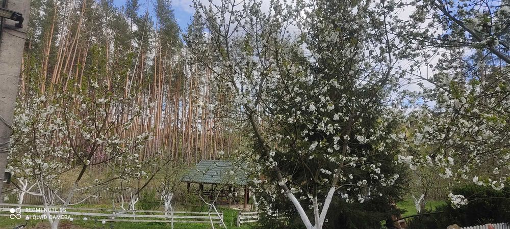 Будинок на Черкаська область, Деренковець, ID 416052, фото №4