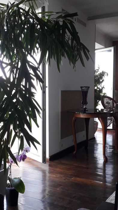 Квартира на вул. академика Вальтера, 5 в Харкові, ID 255640, фото №3