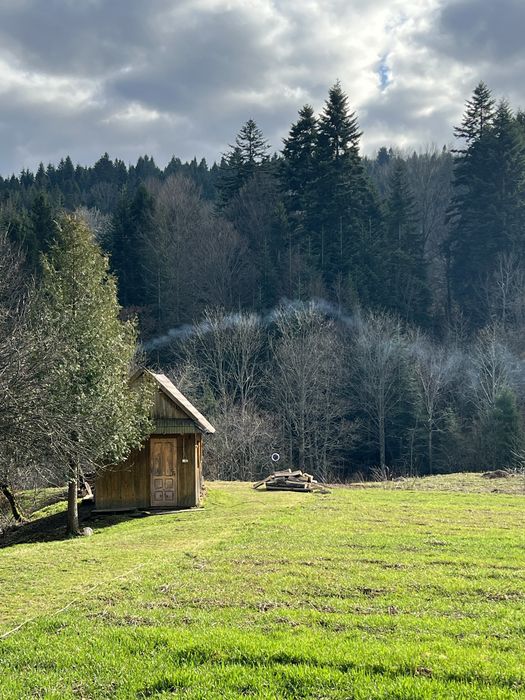 Будинок на Львівська область, Велика Волосянка, ID 416320, фото №4