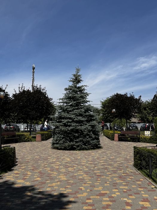 Квартира на Софіївська Борщагівка в Києві, ID 227631, фото №12