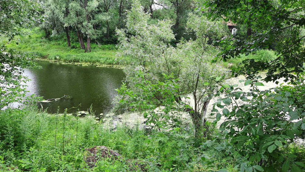 Будинок, Радуль у Чернігівській області, ID 422367, фото №9