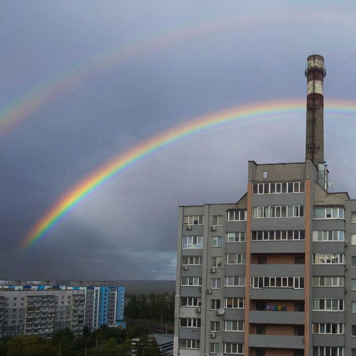 Квартира в Черкаси, ID 256039, фото №1