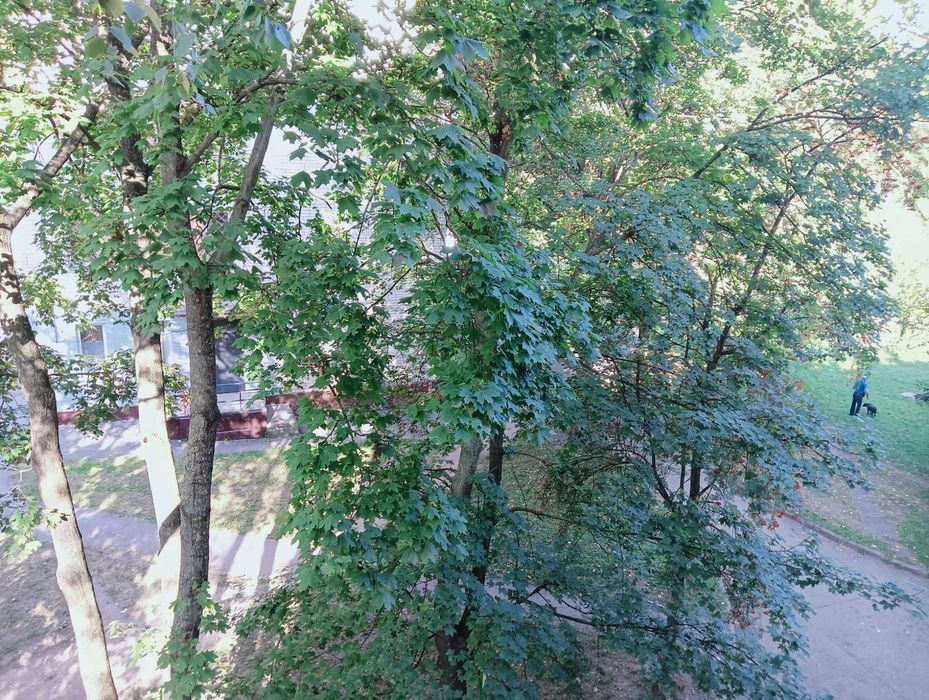 Квартира на район Раково в Хмельницький, ID 219541, фото №2