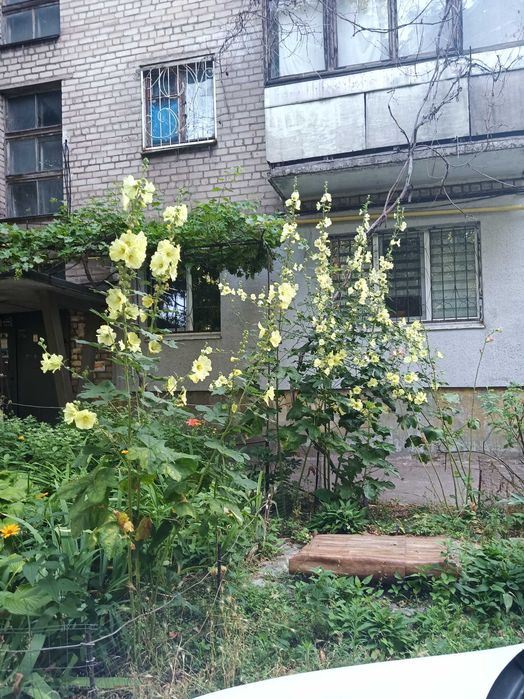 Квартира на вул. Портова в Запоріжжі, ID 203802, фото №18