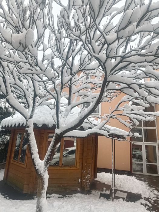 Квартира в Львів, ID 304847, фото №3