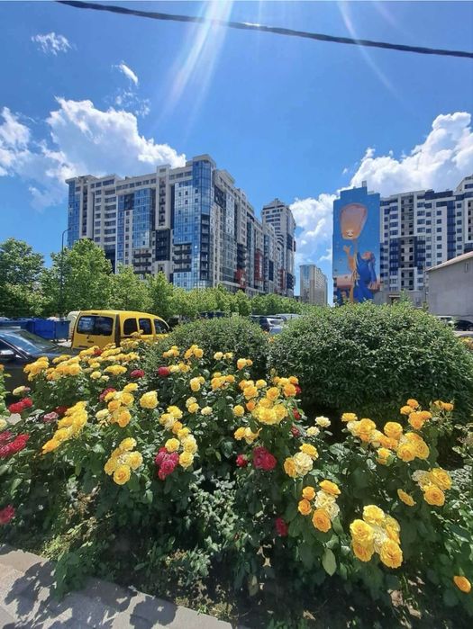 Квартира на в Таировских садах в Одесі, ID 243951, фото №16