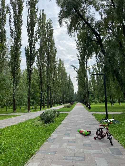 Квартира на вул. Теліги, 25 в Києві, ID 277797, фото №19