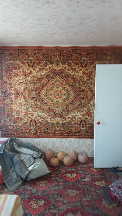 Квартира на вул. Карбишева, 9 в Кривому Розі, ID 255307, фото №9