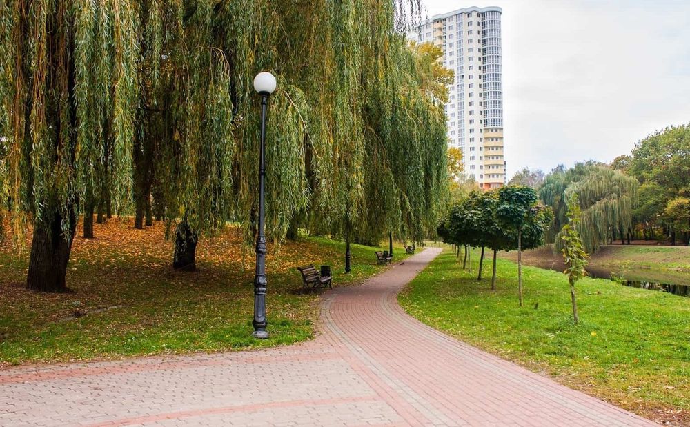 Квартира на вул. Академіка Шалімова, 35а в Києві, ID 315331, фото №12