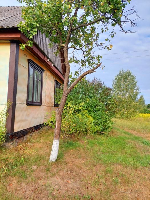 Будинок на Житомирська область, Зубковичі, ID 423062, фото №1