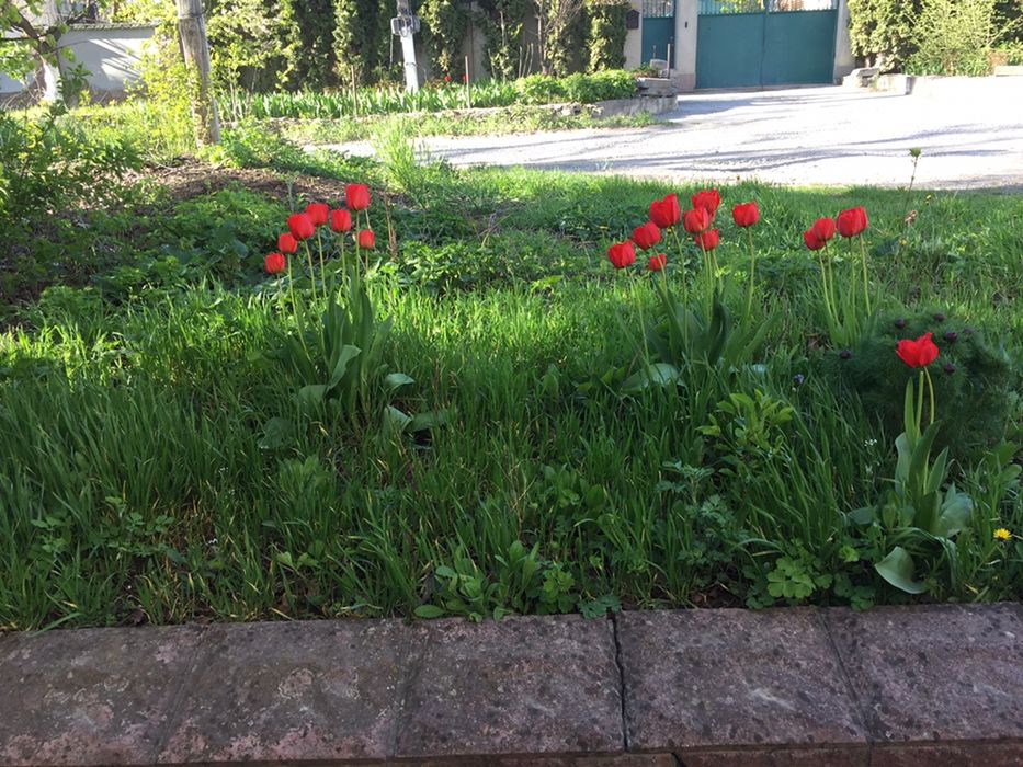 Квартира на вул. Смирнова в Кам'янці-Подільському, ID 293189, фото №12