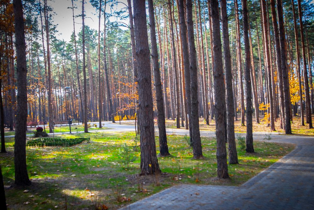 Квартира в Києві, ID 307127, фото №7