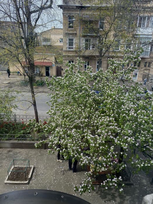 Квартира на біля Дерибасівської в Одесі, ID 188483, фото №8