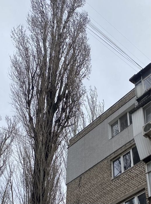 Квартира на вул. Аваліані в Запоріжжі, ID 256994, фото №12