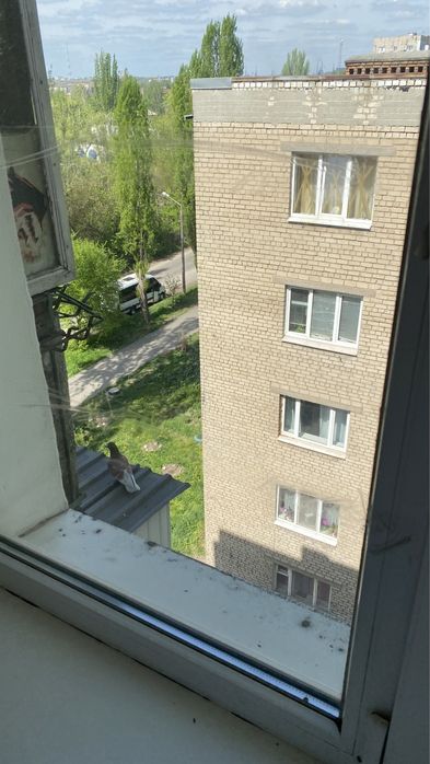 Квартира на вул. Аваліані в Запоріжжі, ID 256994, фото №3